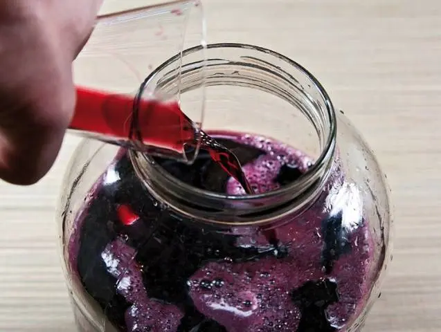 Making wine from grapes at home: a recipe