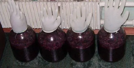 Making wine from grapes at home: a recipe