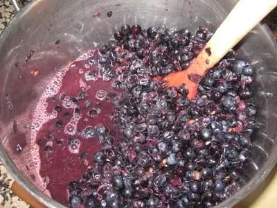 Making wine from grapes at home: a recipe