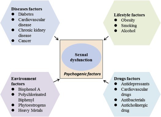 Male sexual dysfunctions. How to deal with them? The causes of erectile dysfunction