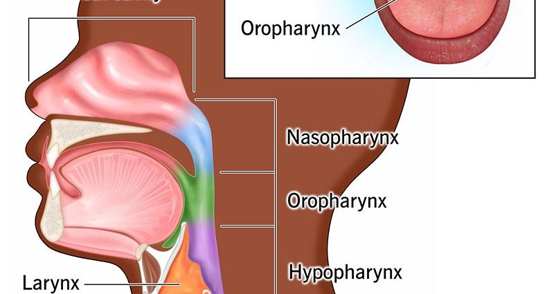 Malignant neoplasms of the throat &#8211; causes, symptoms and treatment