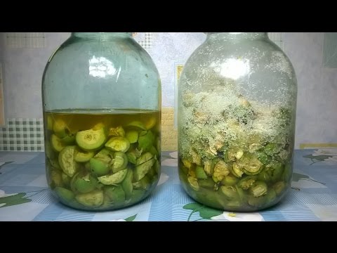 Manchurian nut tincture: recipes