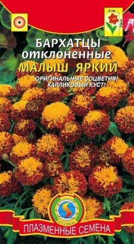 Marigolds rejected: features, varieties