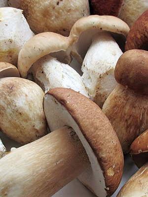 Marinade recipes for milk mushrooms (with video)