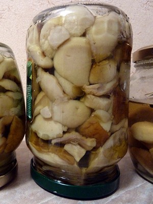 Marinade recipes for milk mushrooms (with video)