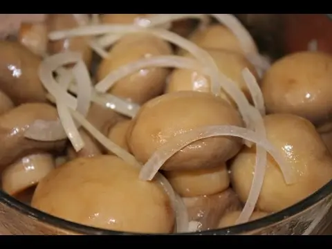 Marinated champignons for the winter: the best recipes