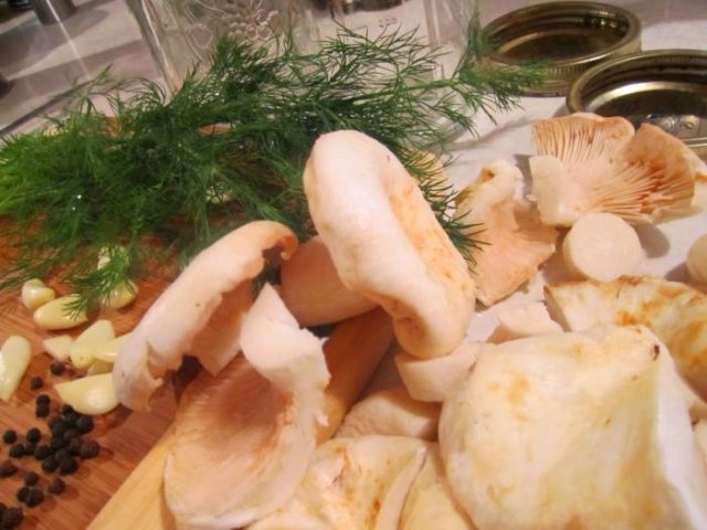 Marinated russula for the winter: recipes for cooking in jars