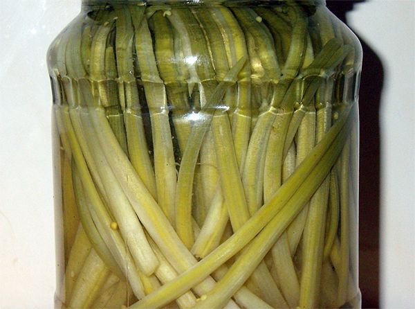 Marinated wild garlic for the winter: recipes for preservation in jars, without sterilization at home