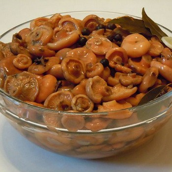 Marinating mushrooms for the winter in various ways