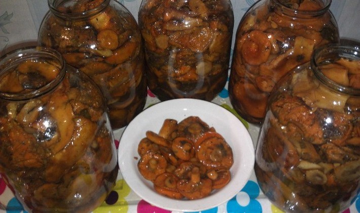 Marinating mushrooms for the winter in various ways