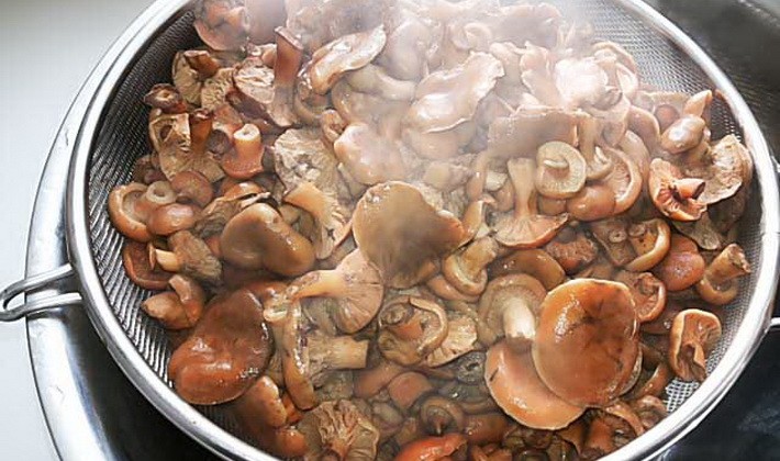 Marinating mushrooms for the winter in various ways