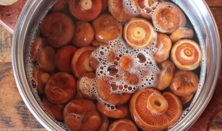 Marinating mushrooms for the winter in various ways