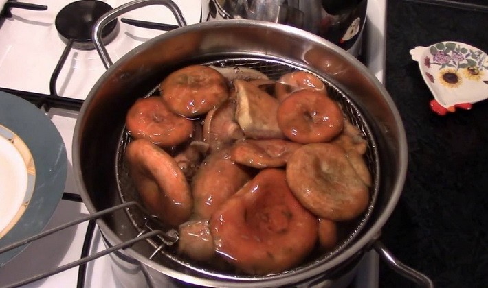 Marinating mushrooms for the winter in various ways