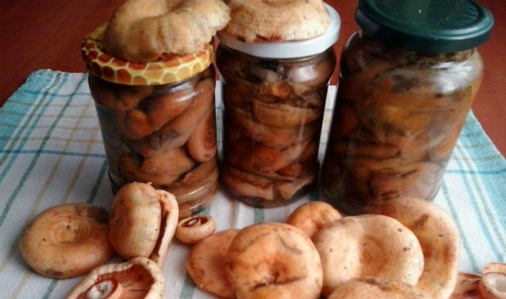 Marinating mushrooms for the winter in various ways