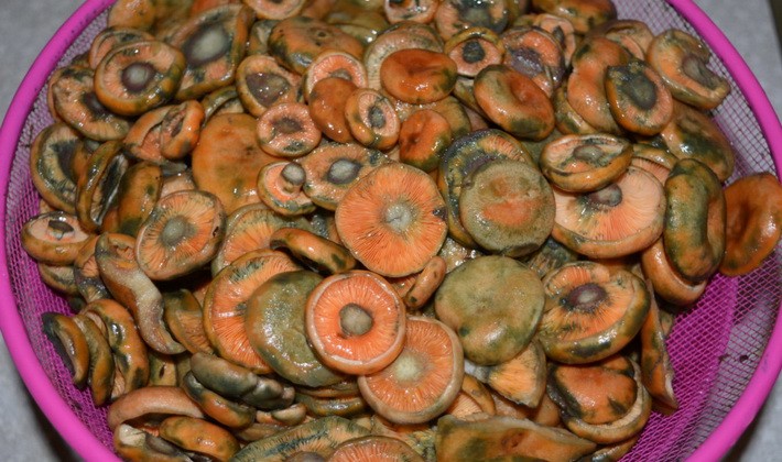 Marinating mushrooms for the winter in various ways