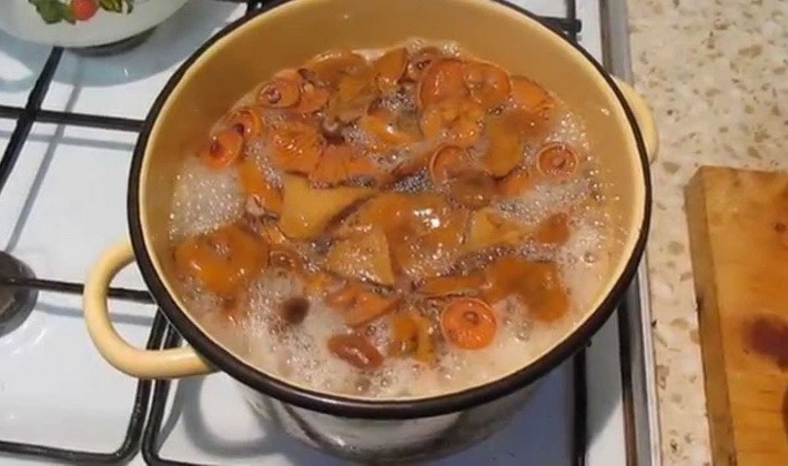 Marinating mushrooms for the winter in various ways