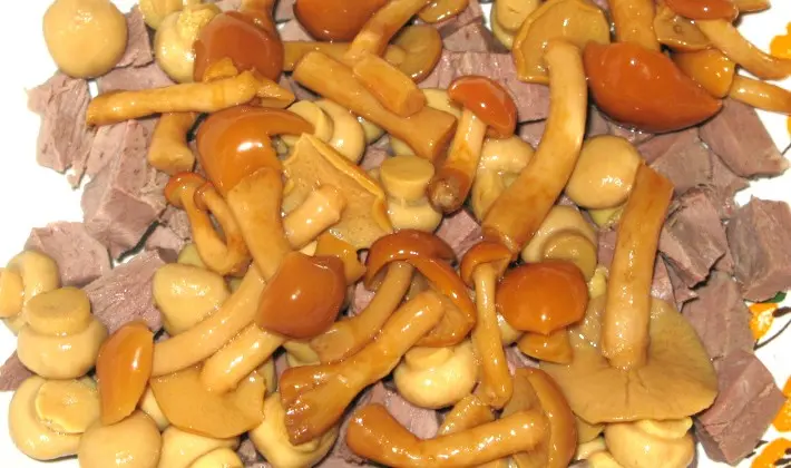 Marinating mushrooms for the winter: recipes for blanks without sterilization