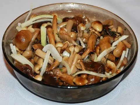 Marinating mushrooms for the winter: recipes for blanks without sterilization