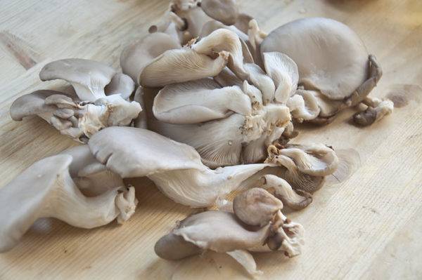 Marinating oyster mushrooms at home