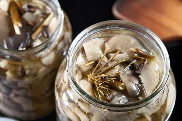 Marinating oyster mushrooms at home