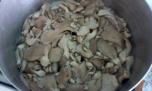 Marinating oyster mushrooms at home