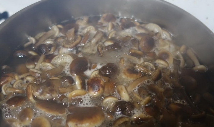 Marinating summer, autumn and hemp mushrooms for the winter