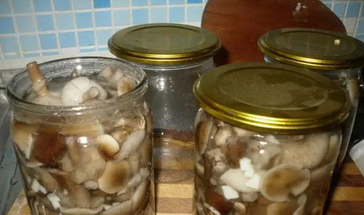 Marinating summer, autumn and hemp mushrooms for the winter