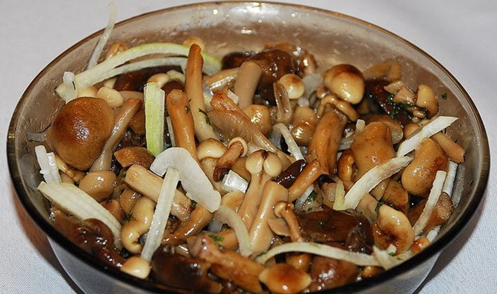 Marinating summer, autumn and hemp mushrooms for the winter