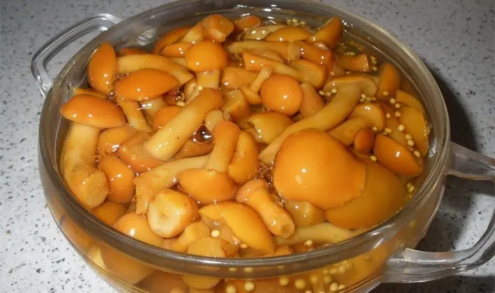 Marinating summer, autumn and hemp mushrooms for the winter