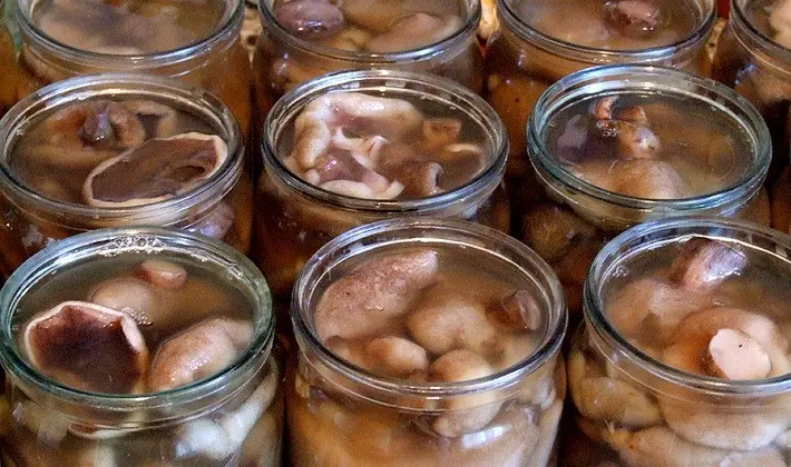 Marinating summer, autumn and hemp mushrooms for the winter