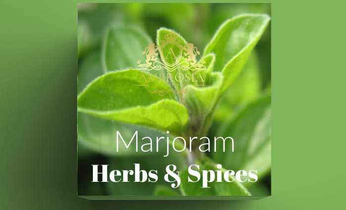 Marjoram ointment &#8211; how does it work? Purpose and method of use