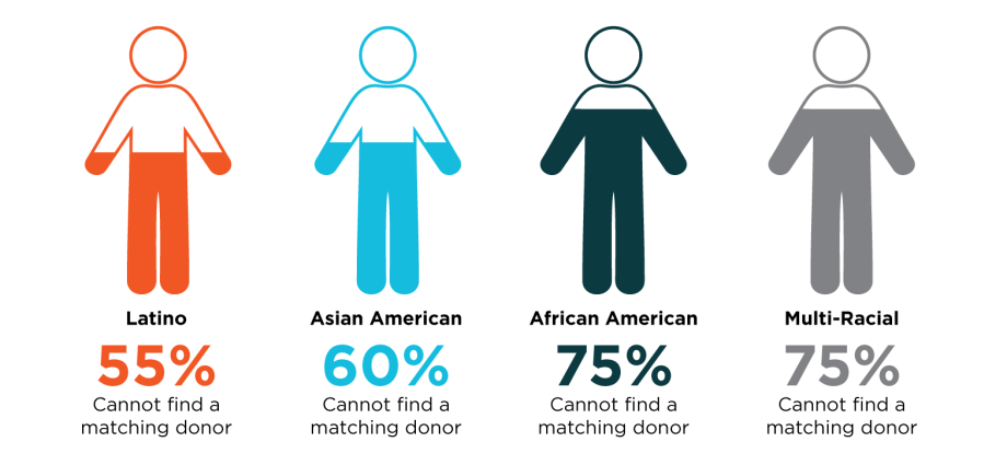 Marrow donors &#8211; who are they?