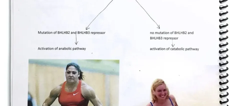 Masking the mutation can help with muscular dystrophy