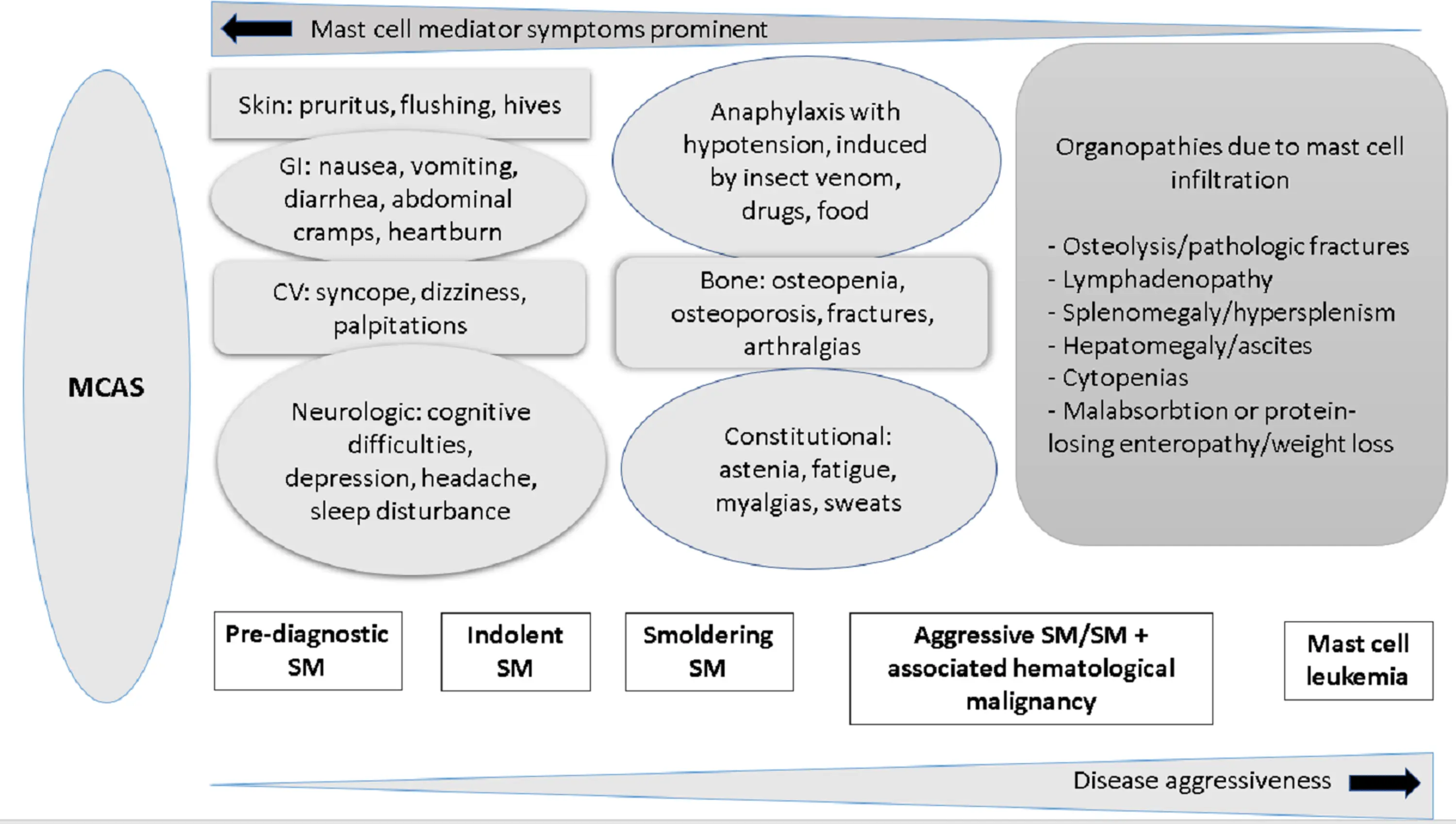 Mastocytosis &#8211; a rare cancer that is difficult to diagnose. Nonspecific symptoms of mastocytosis