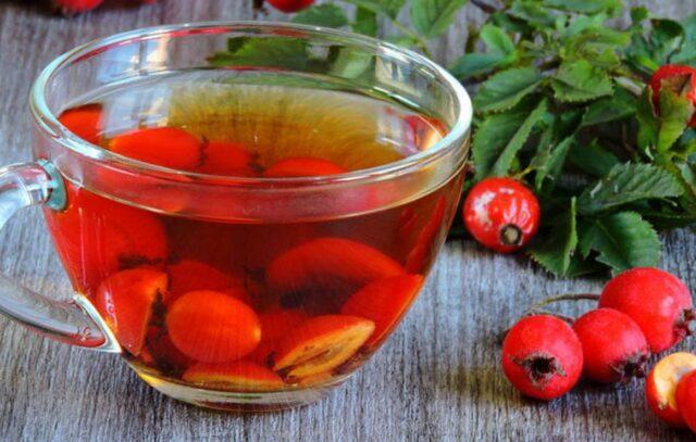 May rose (cinnamon rosehip): description of the plant, medicinal properties