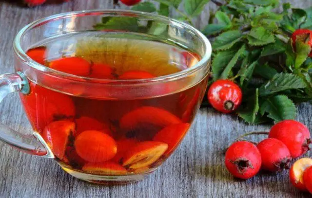 May rose (cinnamon rosehip): description of the plant, medicinal properties