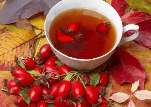 May rose (cinnamon rosehip): description of the plant, medicinal properties