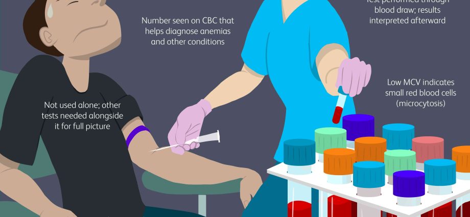 MCV &#8211; mean red blood cell volume, importance, indications for examination, results