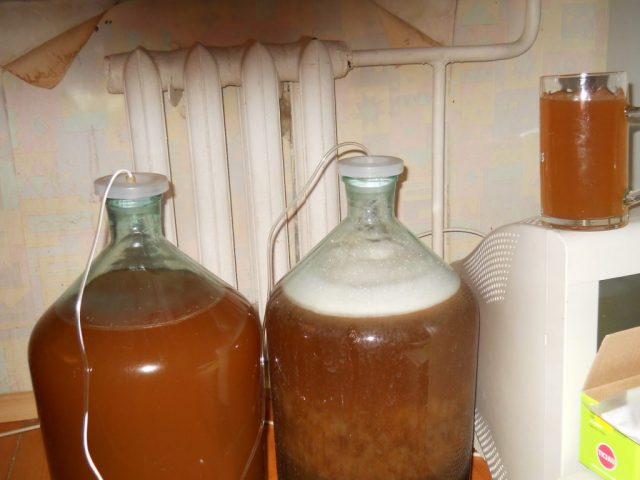 Mead on birch sap: a recipe without boiling