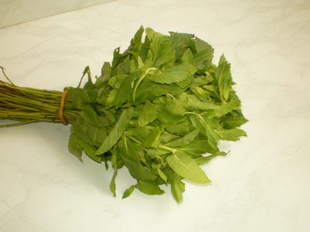 Meadow mint (field): photo, variety description, useful properties and contraindications