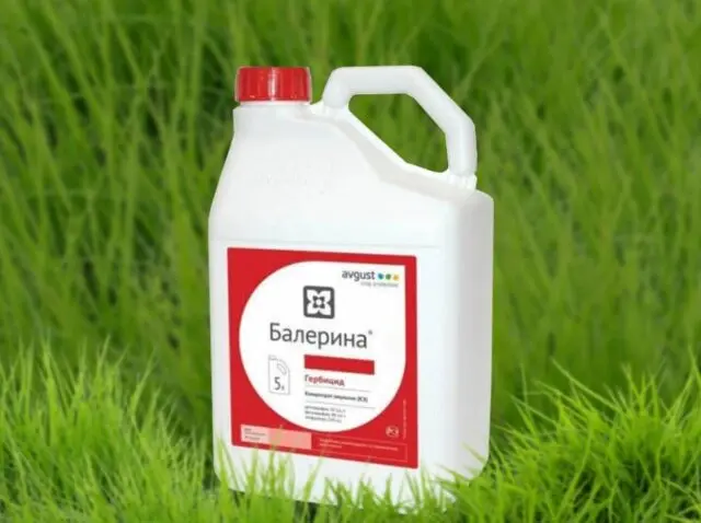 Means Ballerina for weed control: instructions for use, composition, reviews