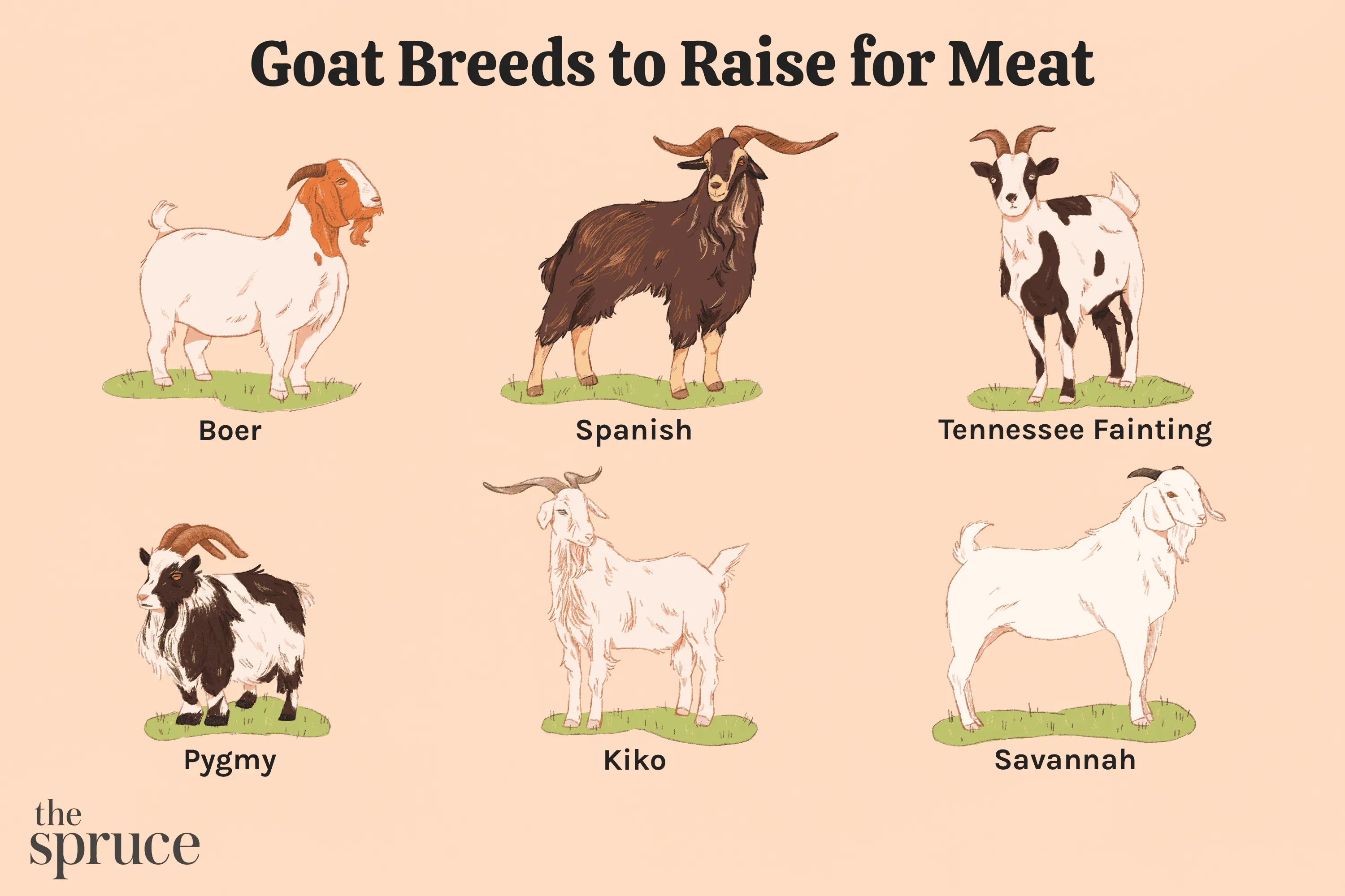 Meat goats