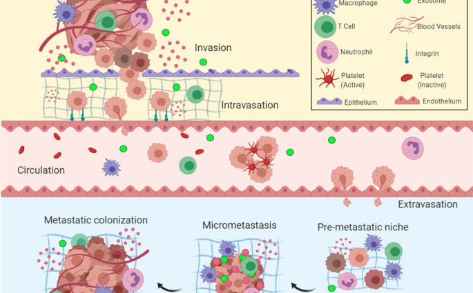 Mechanisms of tumor formation – Healthy Food Near Me