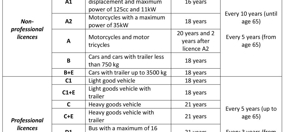 Medical examination for a driving license &#8211; how much is it important? The price of a medical examination for a driving license