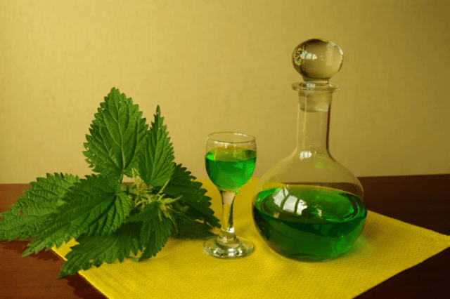 Medicinal properties and contraindications of nettle for men