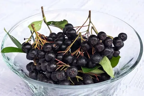 Medicinal properties of chokeberry