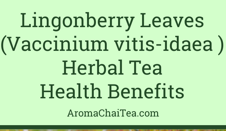 Medicinal properties of lingonberry leaves