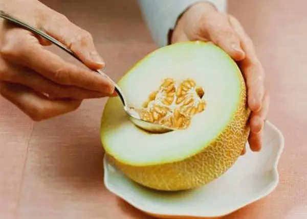 Melon: cultivation and care in the open field in Our Country