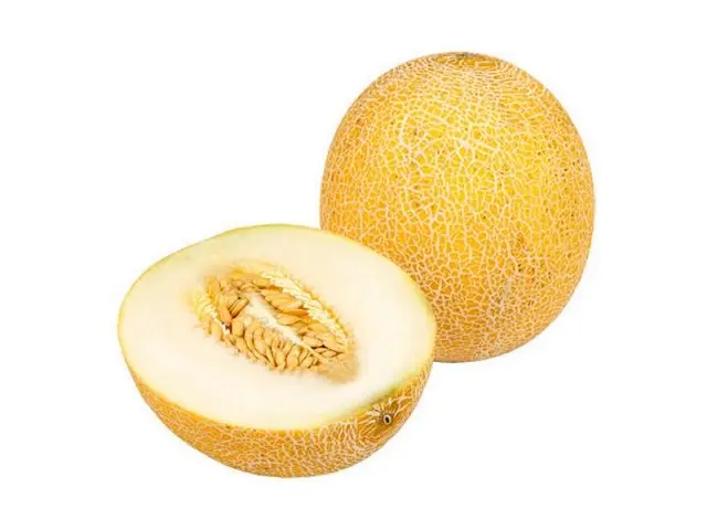 Melon Galia: photo and description