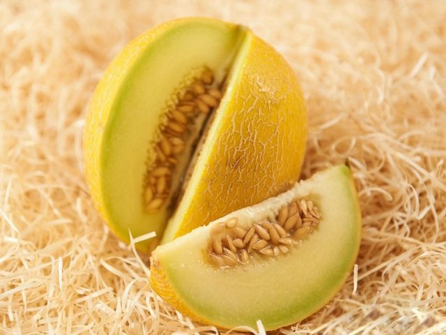 Melon Galia: photo and description